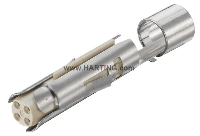 Han Q Hybrid Female Data Element