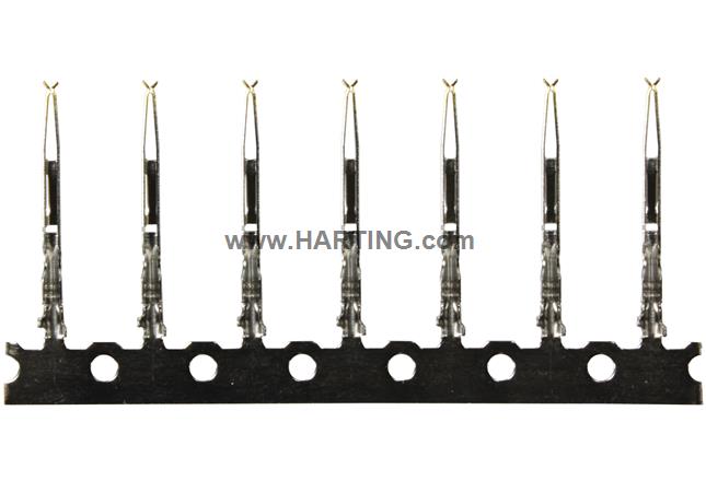 DIN41612-BCFC-S1Q-2-2-03   AM