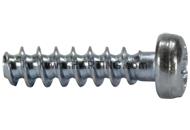 DIN-Power-screw for plastic 2,2x9,5-PZ1