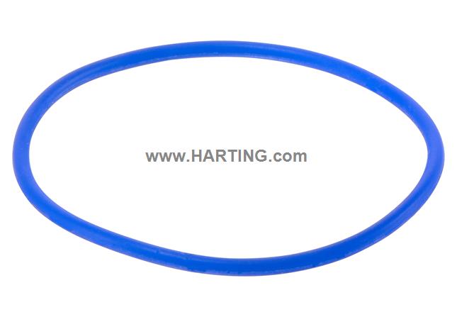 O-ring seal for F+B silicon