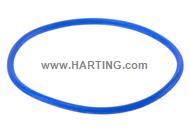 O-ring seal for F+B silicon