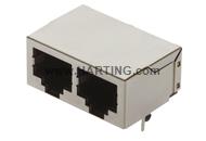 RJI RJ45 2-port jack Cat.5 THT angled