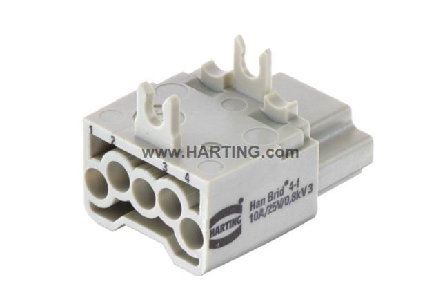 Han Brid-Male-C+2 FOC-Male-C (K)
