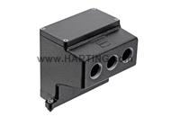 Han 24HPR-enlarged-HAE-SL-3xM32