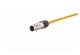 Han M12 X-cod 8-pol f/- PUR 2 m