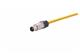 Han M12 X-cod 8-pol m/- PUR 0,5 m