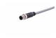 M12 A-cod 3-pol st /- m /- PVC 3.00m