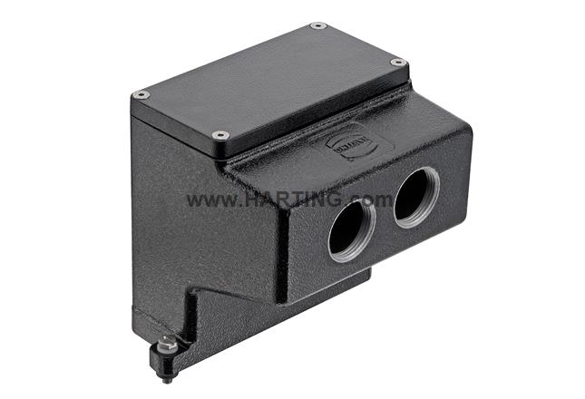 Han 24HPR Hood Angled Entry 2xM40 SV