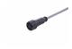 M12 A-cod 3-pol st/- f/- PPi PVC 5.0m