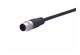 M12 A-cod 4-Pol st/- m/- PUR shld. 3,0 m