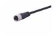 M12 A-coded 4pol st/- f/- shld PVC 5m