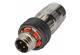 M12-SD-PPI-CC-CRIMP-4P-DCOD-M-STR-SHLD