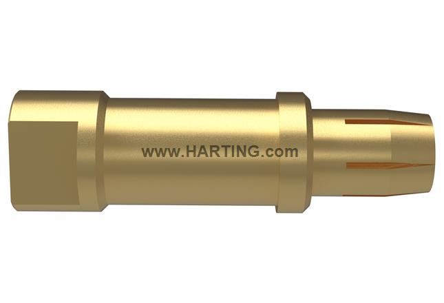 Han TC200_CT_HMC_F_SCT_Au_long