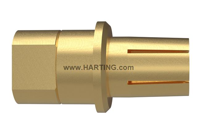 Han TC300_CT_HMC_F_SCT_Au_short