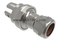 ICC20_H_3A_BS_ST_CG_17-20.5