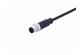 M12 A-cod 8-pole st/- m/- PUR 0.5m