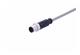 M12 A-cod 8-pole st/- m/- PVC 0.5m