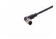 M12 A-cod 8-pole an/- m/- PUR 1.5m