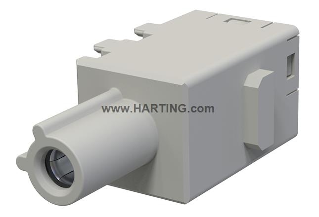 Han-Mod_M_MUL_4_F_C.2_PIT